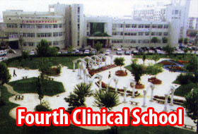 university