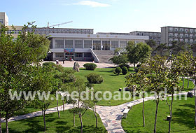 university
