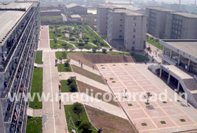 university