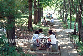 university