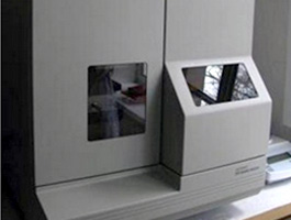 gomel_clinical