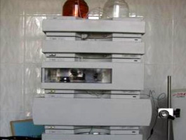gomel_clincals